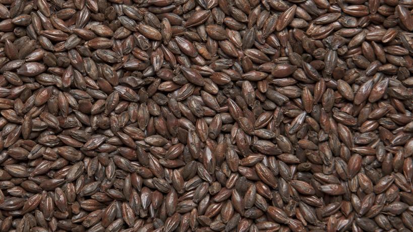 Солод ячменный специальный импортный, Black malt, 1500, Viking Malt, мешок 25 кг