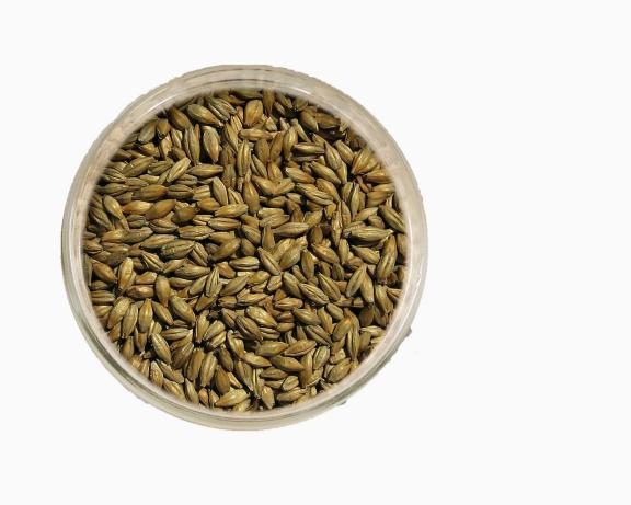 Солод ячменный светлый импортный, Vienna malt, Viking Malt, мешок 25 кг