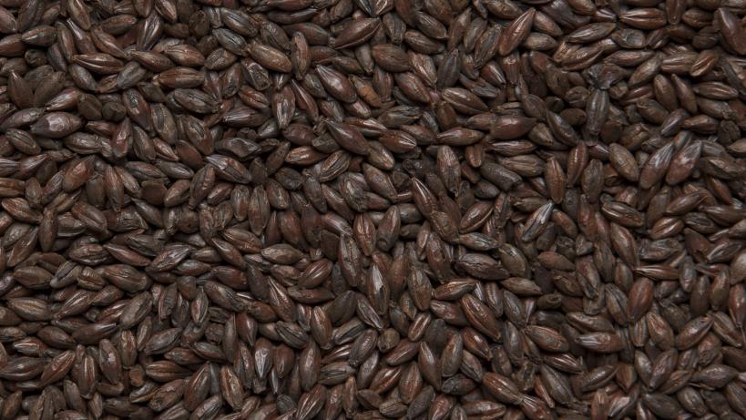Солод ячменный специальный импортный, Roasted Barley, Castle Malting, мешок 25 кг