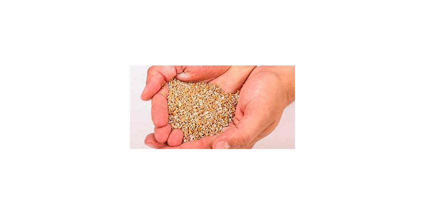 Солод пшеничный специальный российский, дробленый, Пшеничный, Курский солод, мешок 1 кг