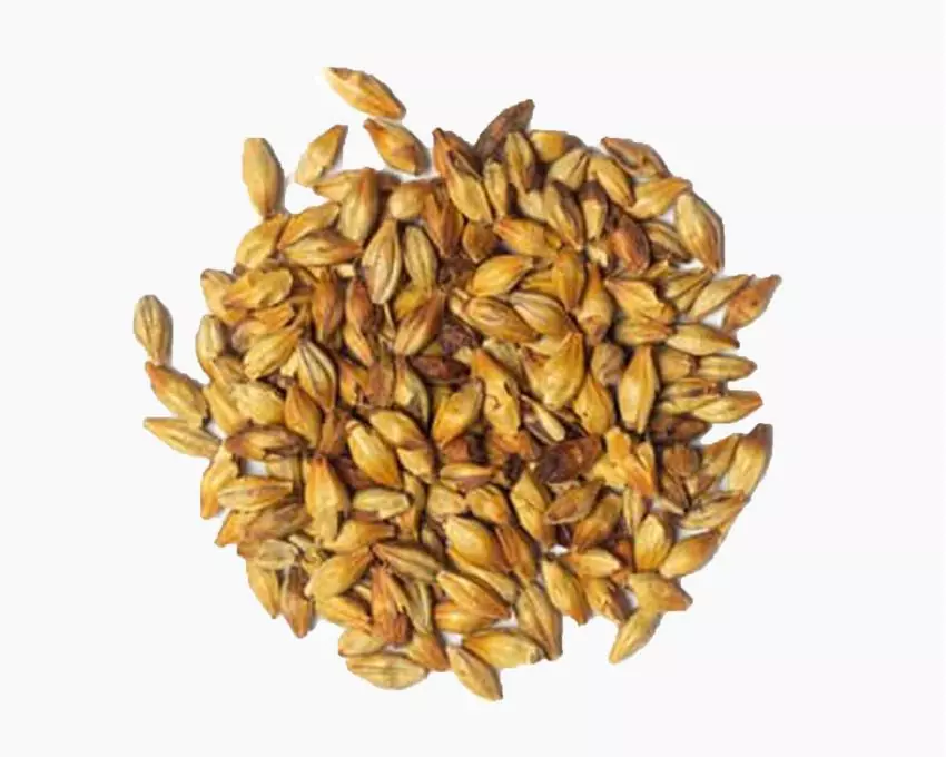 Солод ячменный светлый импортный, AROMA Pale, Holland Malt, мешок 25 кг