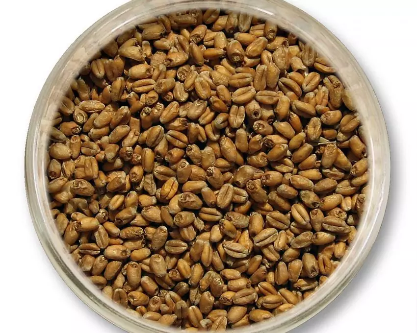 Солод пшеничный специальный импортный, Wheat malt, Viking Malt, мешок 40 кг