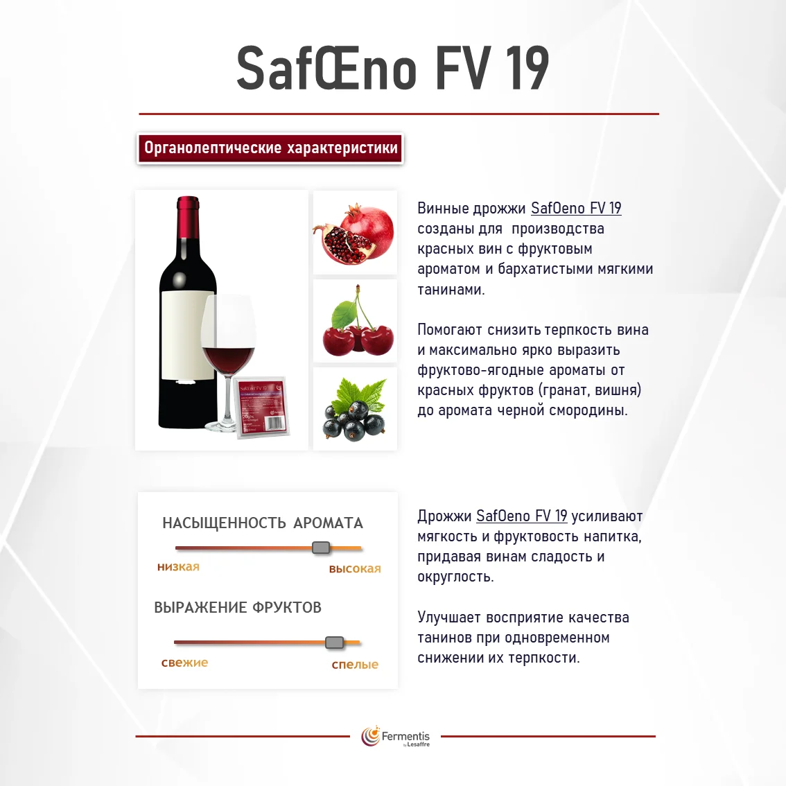 Дрожжи винные SafŒno FV-19, Бельгия, Fermentis, пакеты 5 г