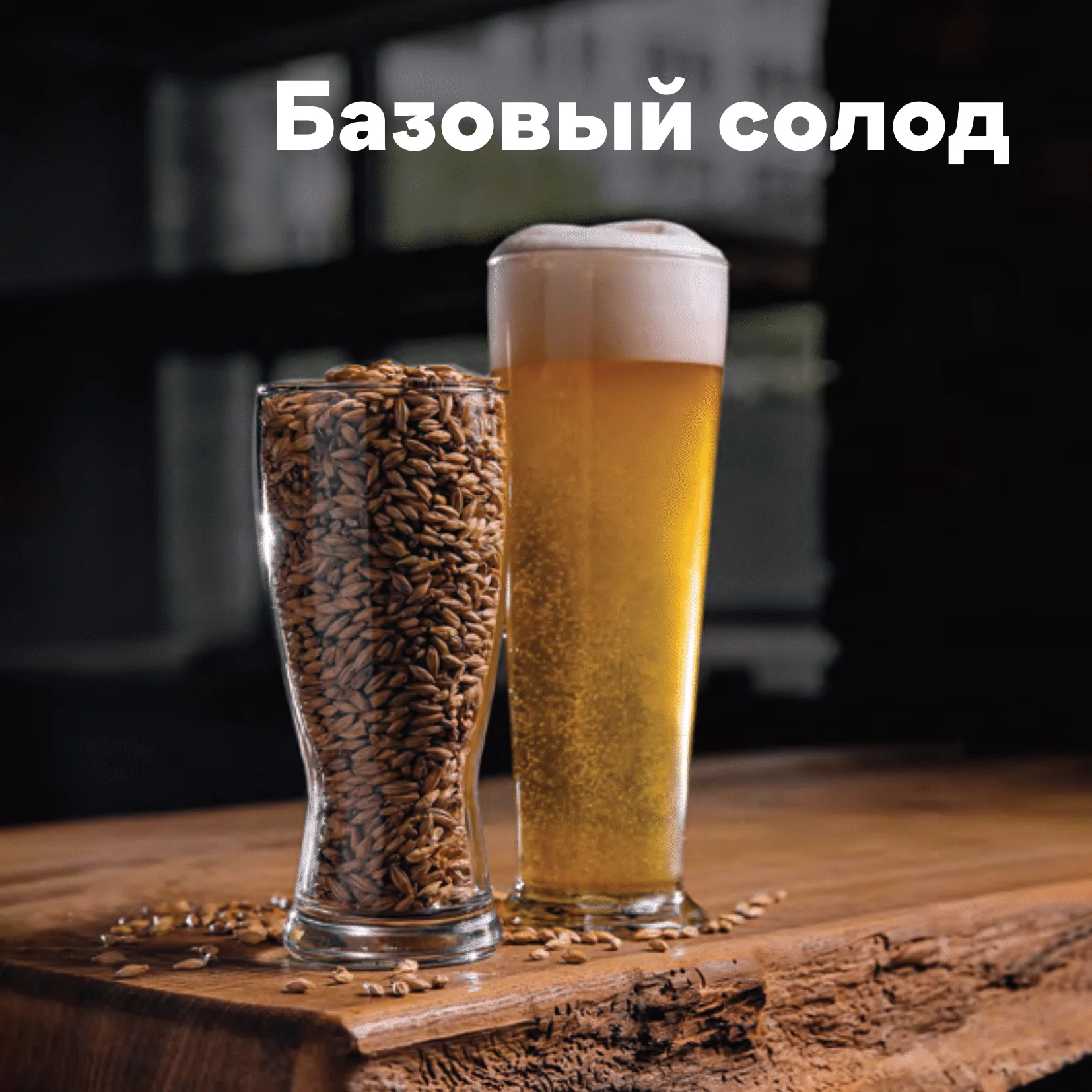 Солод ячменный светлый импортный, дроблёный, Pale Ale, Castle Malting, мешок 5 кг