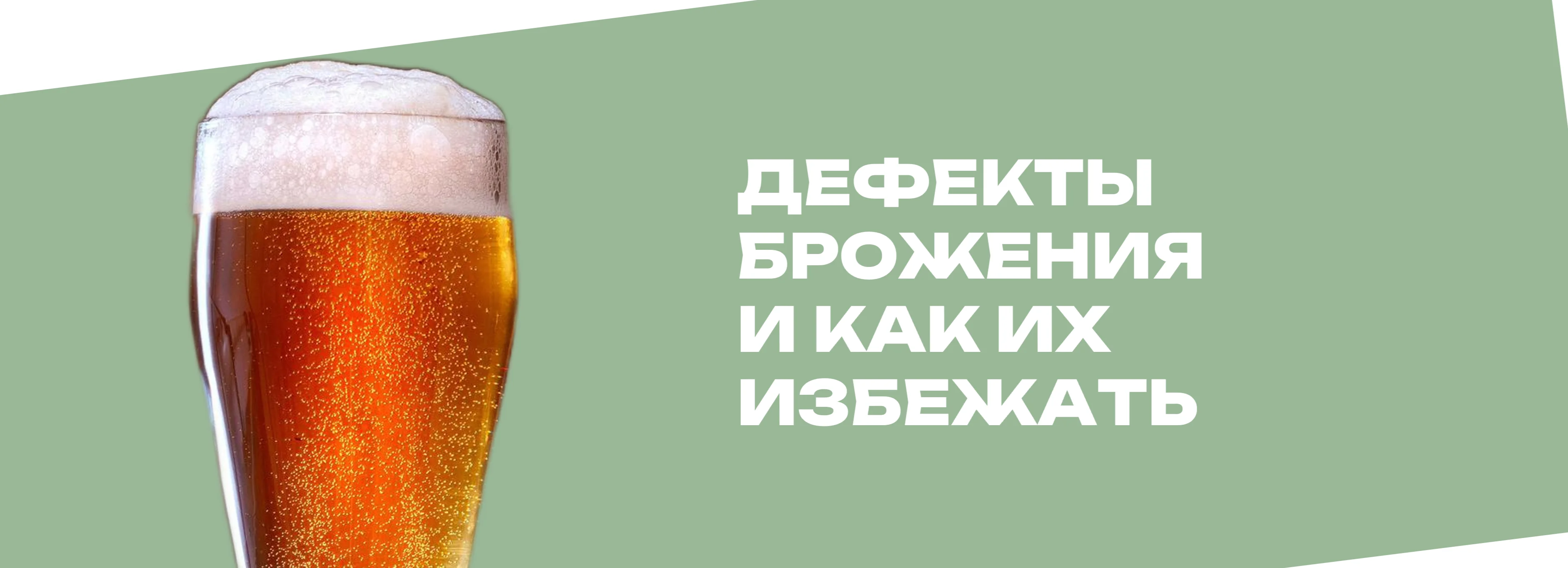 Дефекты брожения пива: как избежать диацетила, автолиза и серных тонов