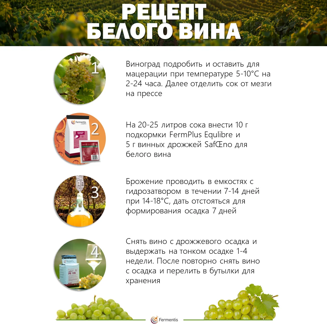 Дрожжи винные SafŒno CK S102, Бельгия, Fermentis, пакеты 5 г