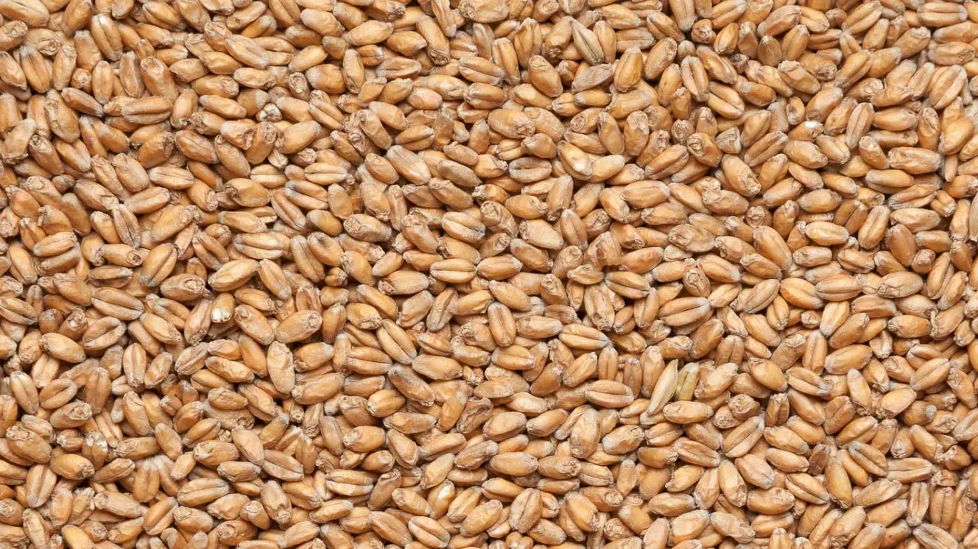 Пшеничный (Wheat malt)