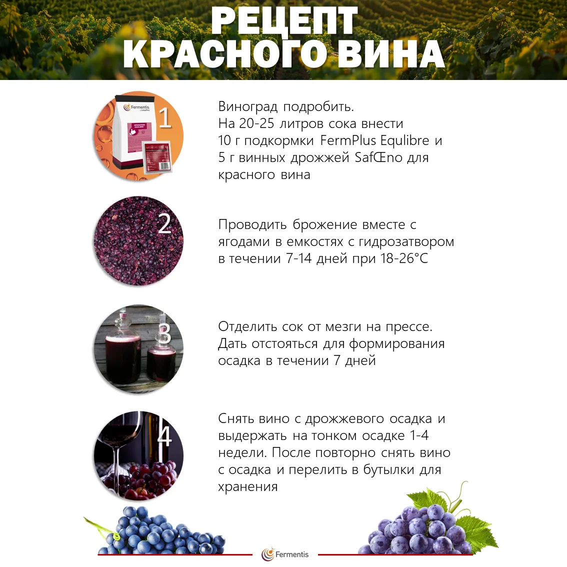 Дрожжи винные SafŒno BC S103, Бельгия, Fermentis, пакеты 5 г