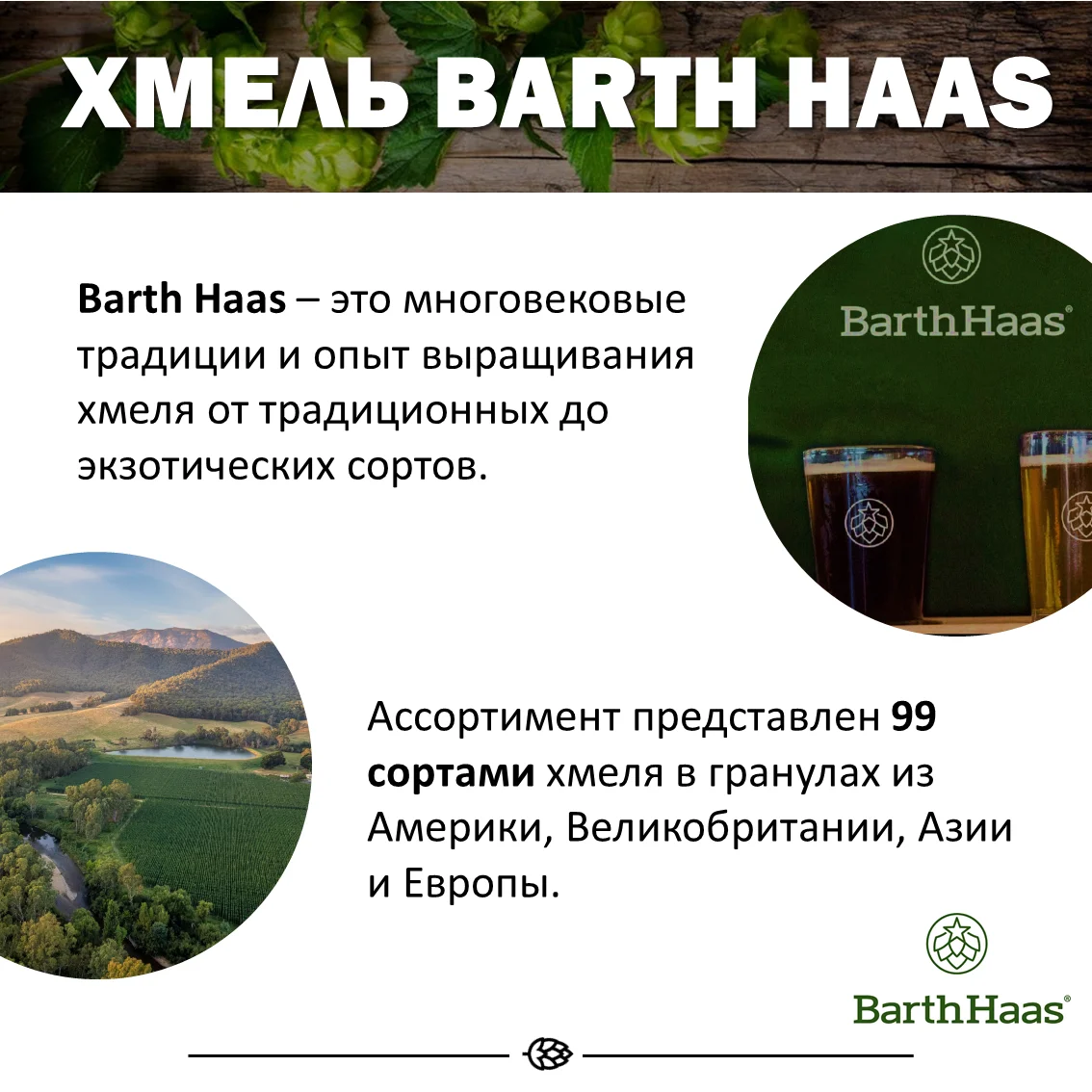 Хмель гранулированный Tradition (Традицион)