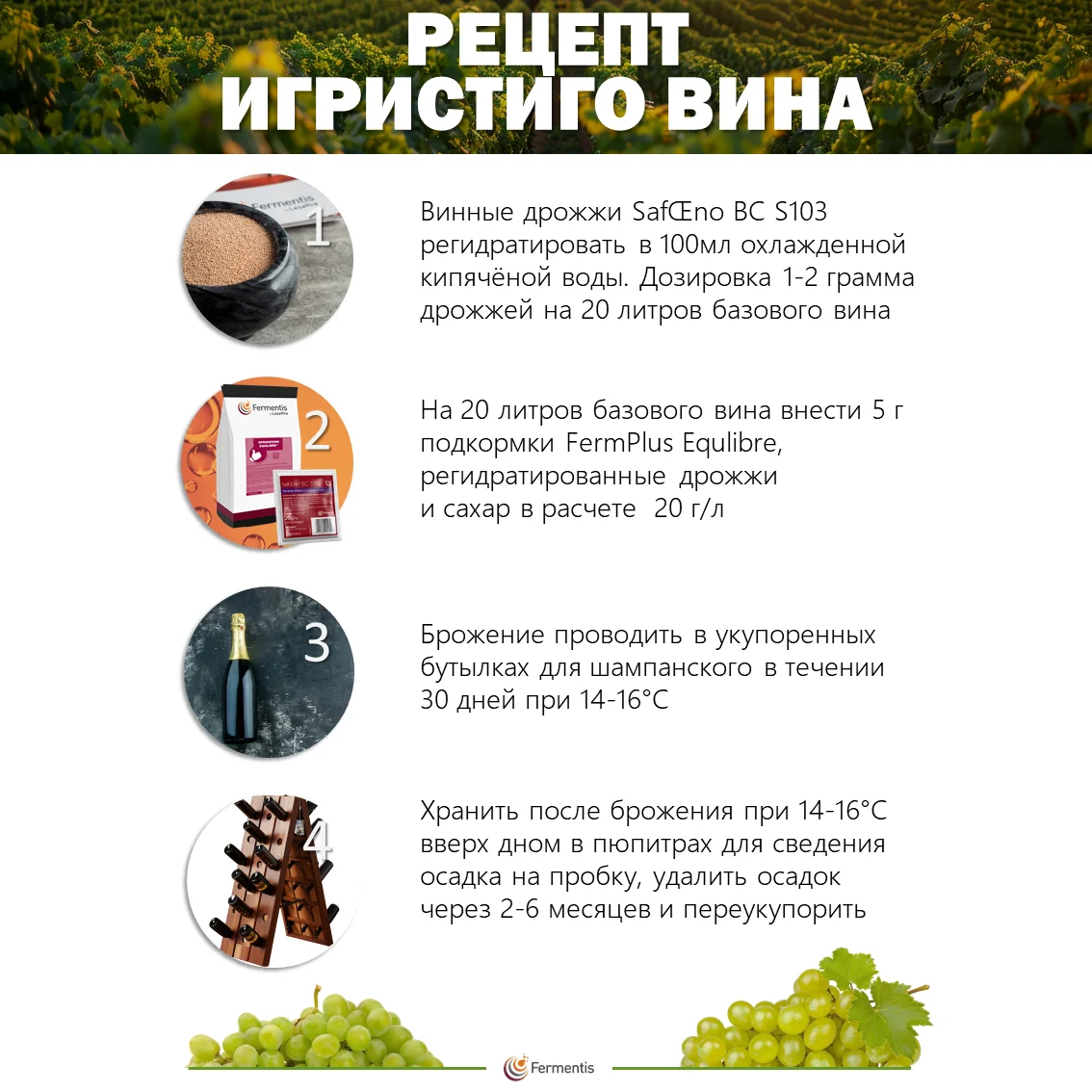 Дрожжи винные SafŒno BC S103, Бельгия, Fermentis, пакеты 5 г