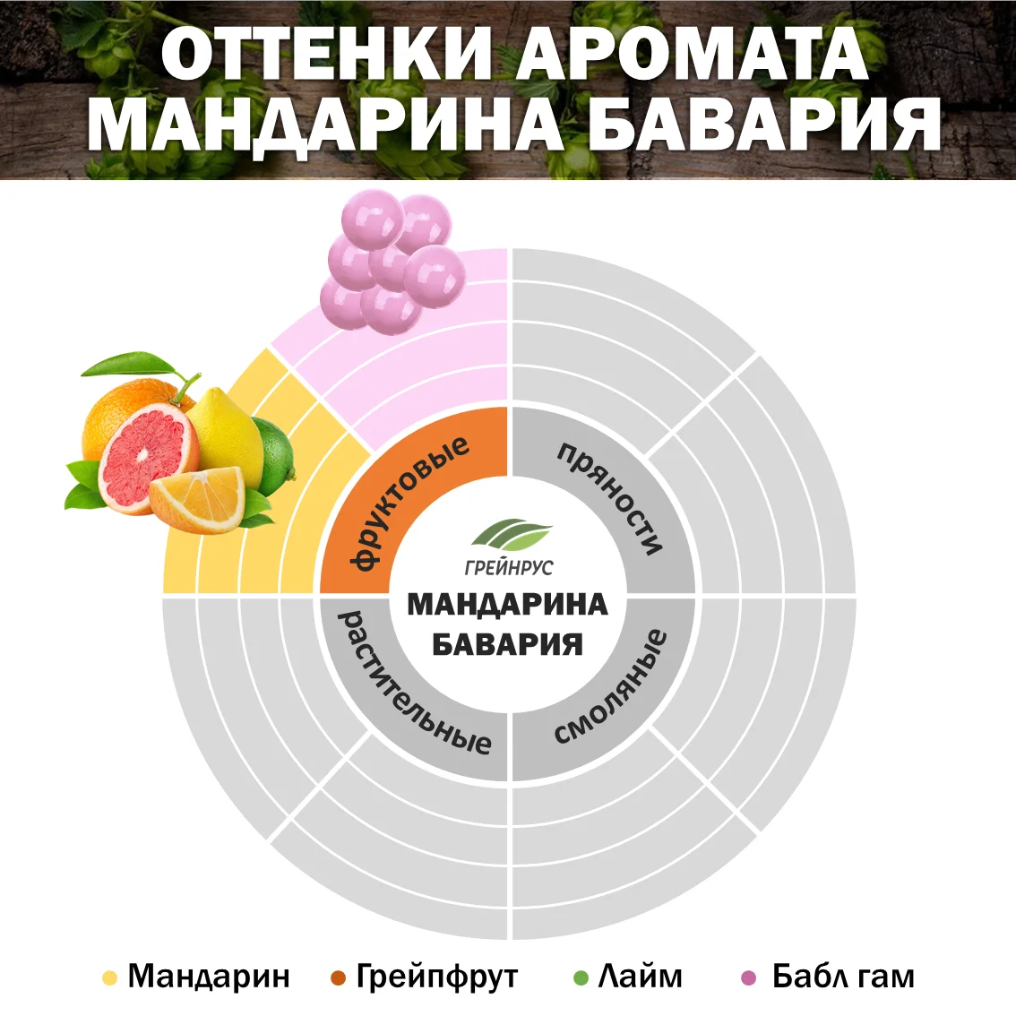 Хмель гранулированный Мандарина Бавария