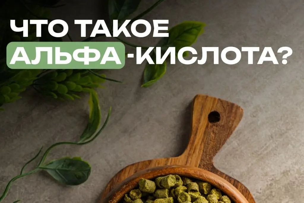 На что влияет альфа-кислота в пивоварении