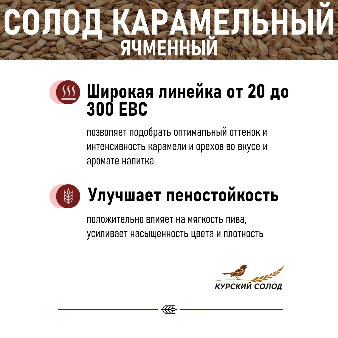 Солод ячменный специальный российский, Карамельный двойной обжарки, 250-350, Курский солод, мешок 5 кг
