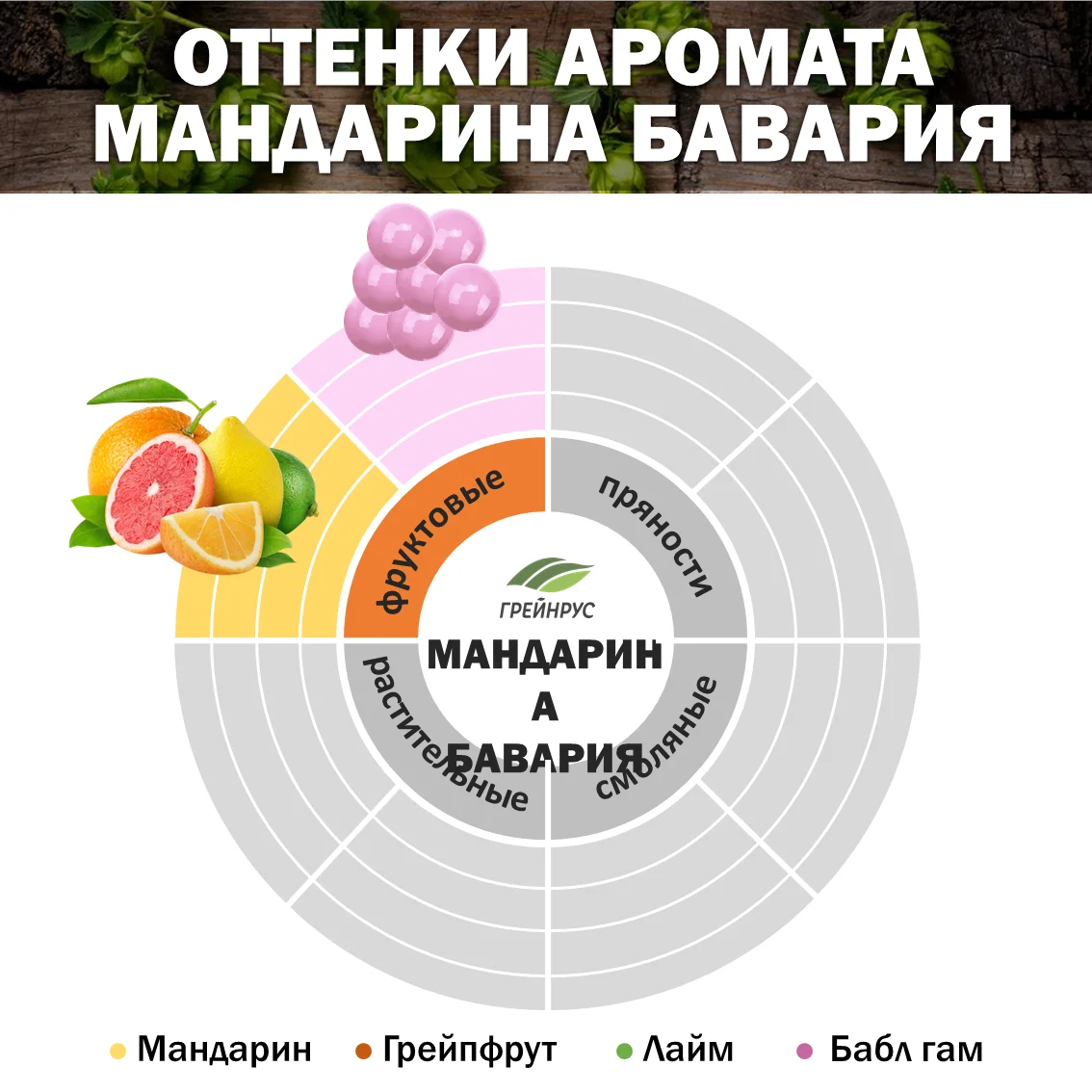 Хмель гранулированный Мандарина Бавария