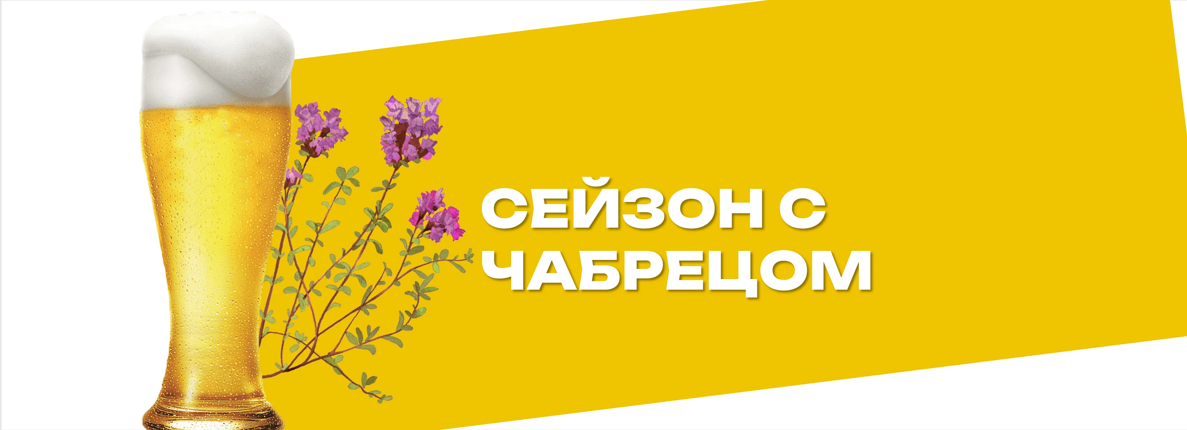 Saison с чабрецом