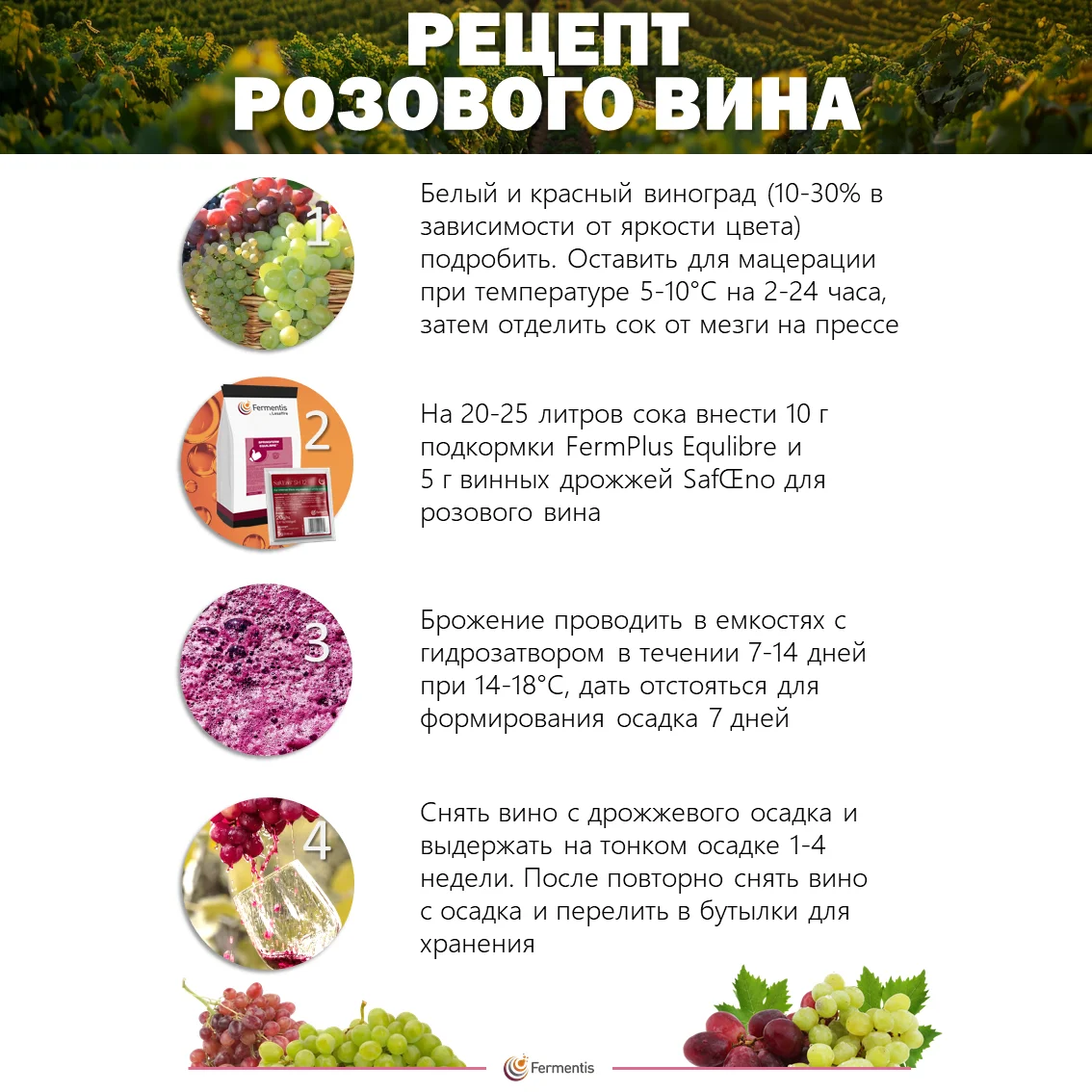 Дрожжи винные SafŒno BC S103, Бельгия, Fermentis, пакеты 5 г