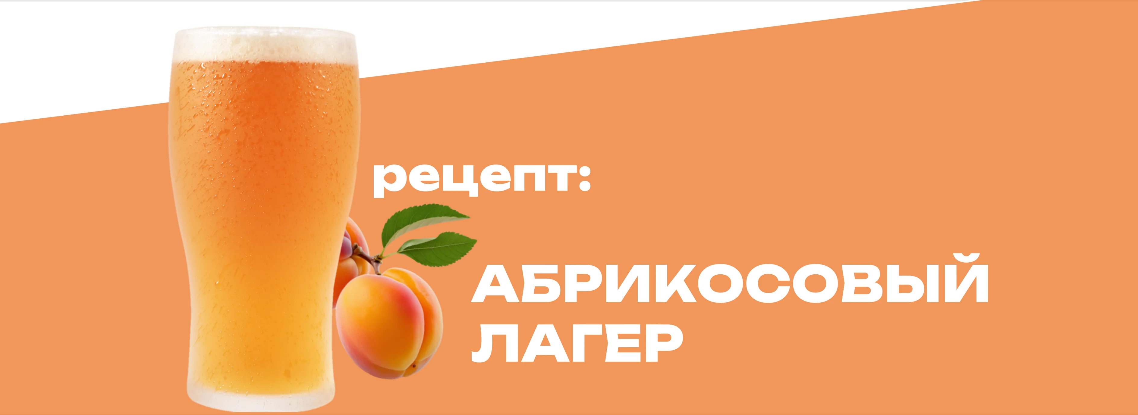 Абрикосовый лагер
