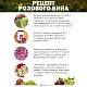 Дрожжи винные SafŒno SH12, Бельгия, Fermentis, пакеты 5 г