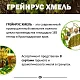 Хмель гранулированный Наггет